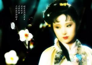 《葬花吟》肠断春风谁得知