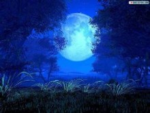 音乐赏析--肖邦《夜曲》