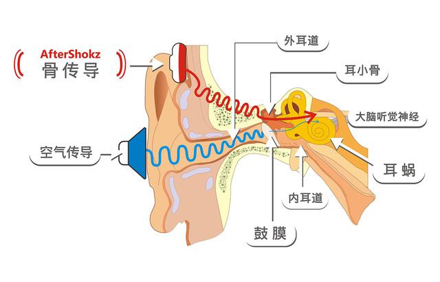终于开始烧助听器了：深扒骨传导耳机