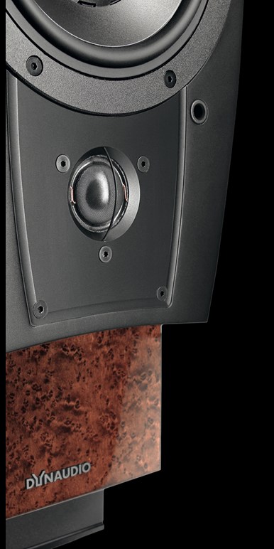 DYN_C1Platinum_detail_s.jpg