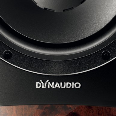 DYN_CPlatinum_detail2.jpg