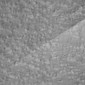 DYN_special_lacquer.jpg (1)