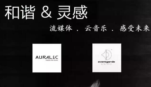 北京声韵牵手德国喇叭花流媒体音乐欣赏会