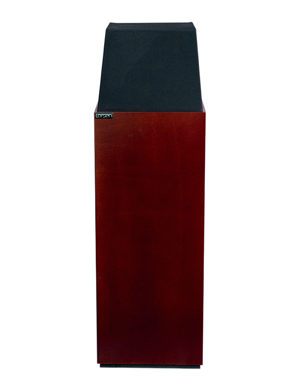 Larsen 4.jpg