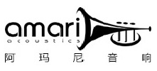 阿玛尼唱机公司