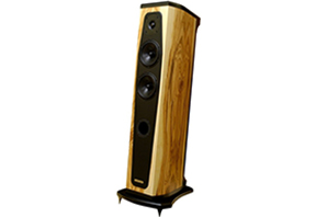 AudioSolutions （音乐卫士）RHAPSODY 80