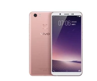 vivo Y79