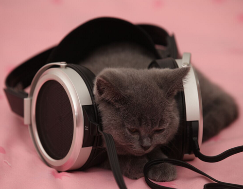 롢HiFiǴӿ  ܶ