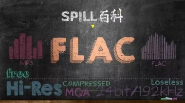 �������ָ�ʽFLAC �����ѵ�ѡ��֮һ